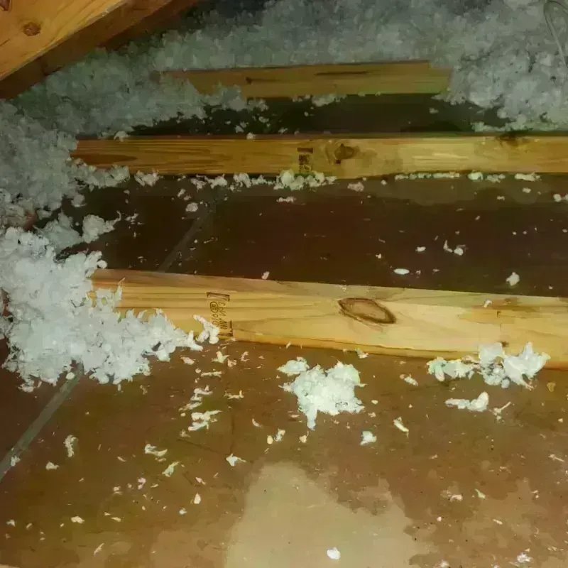 Attic Water Damage in Lawrenceburg, KY